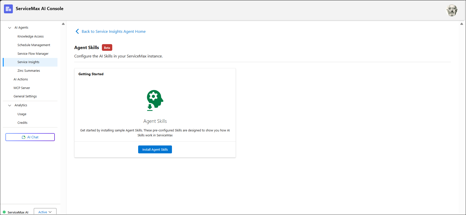 Install Agent Skills Window